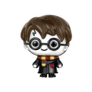 Harry Potter Charm